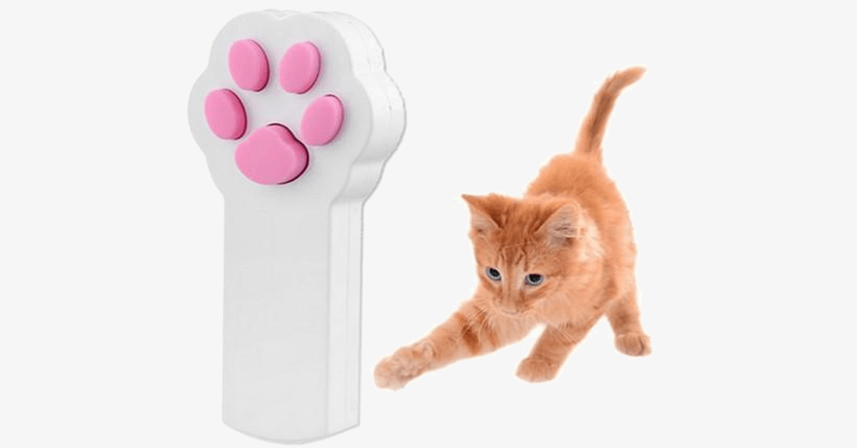 Pet Cat Interactive Automatic Red Laser Pointer