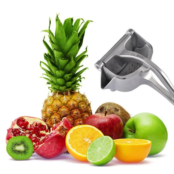 Stainless Steel Fruit Juicer