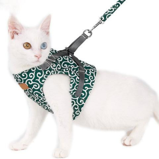 Cat Harness Set