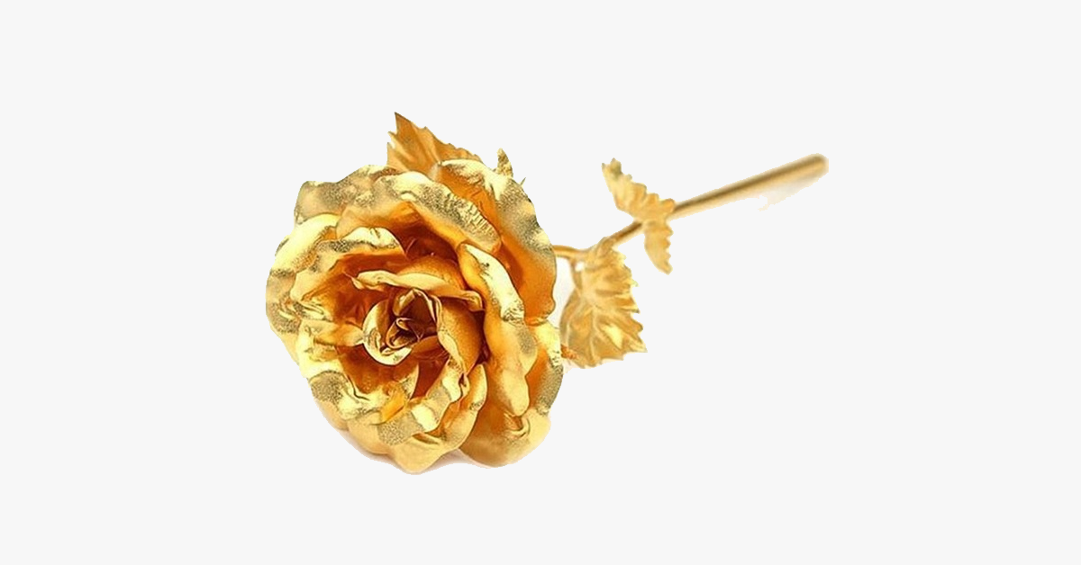 24K Gold Dipped Real Rose with Gift Box