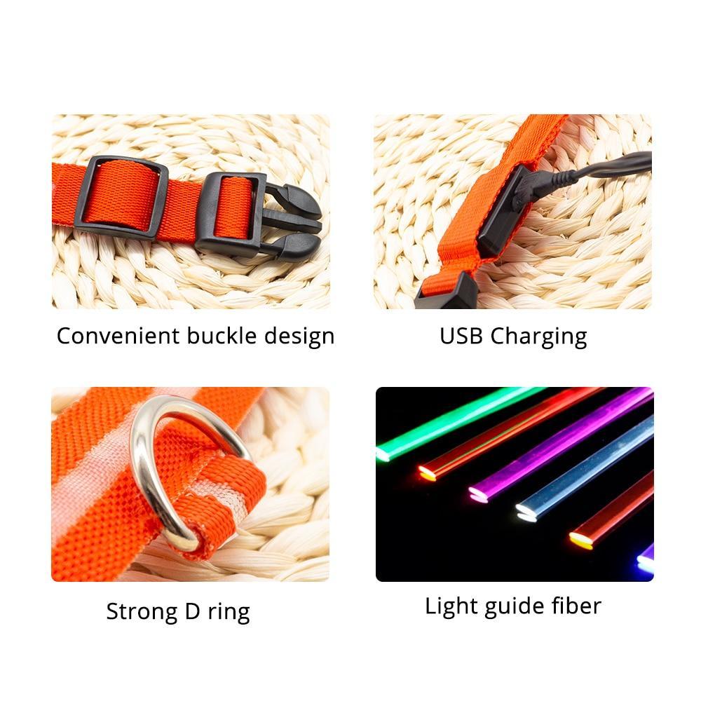 LED Pet Safety Collar