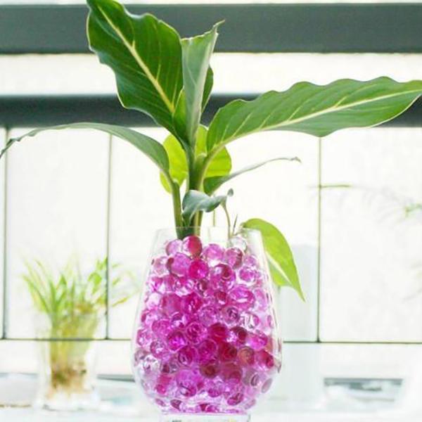 Hydrogel Crystal Soil - 10,000pcs