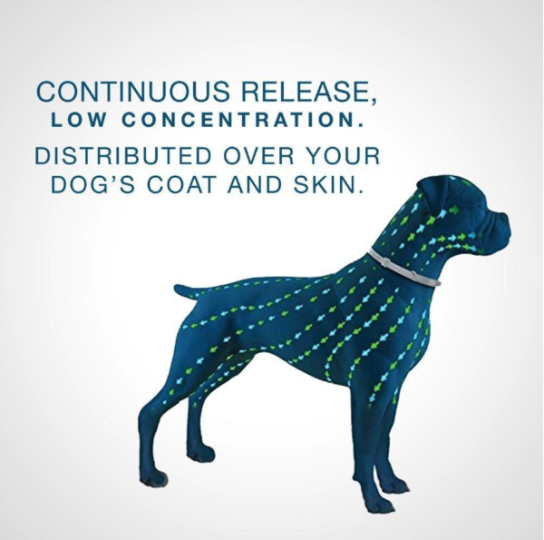 Pro Guard Flea & Tick Collar For Dogs