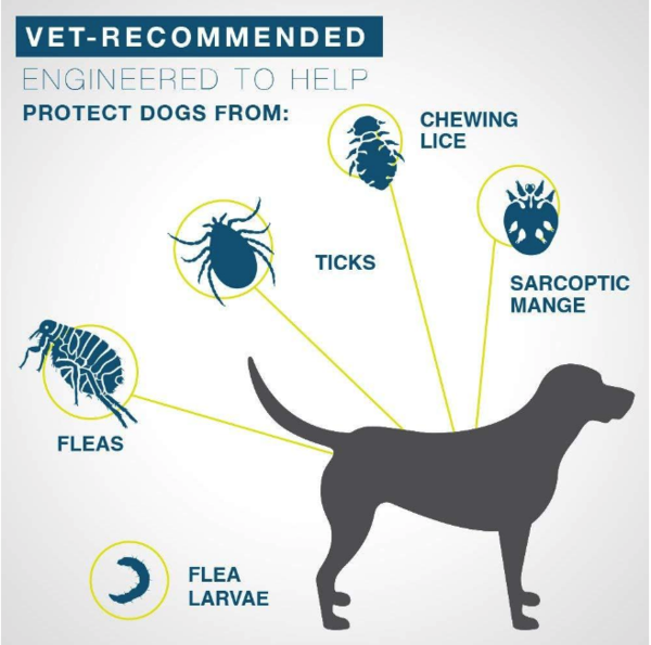 Pro Guard Flea & Tick Collar For Dogs