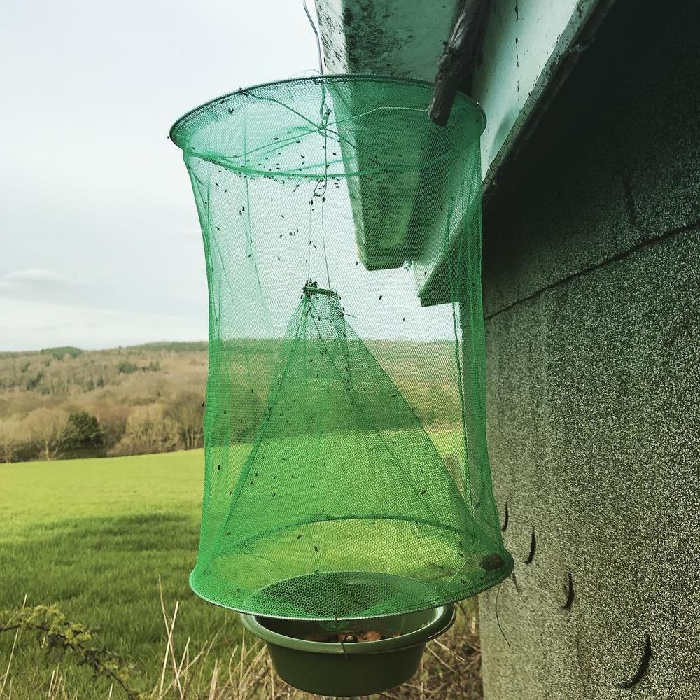Portable Non-toxic Fly Mosquito Trap