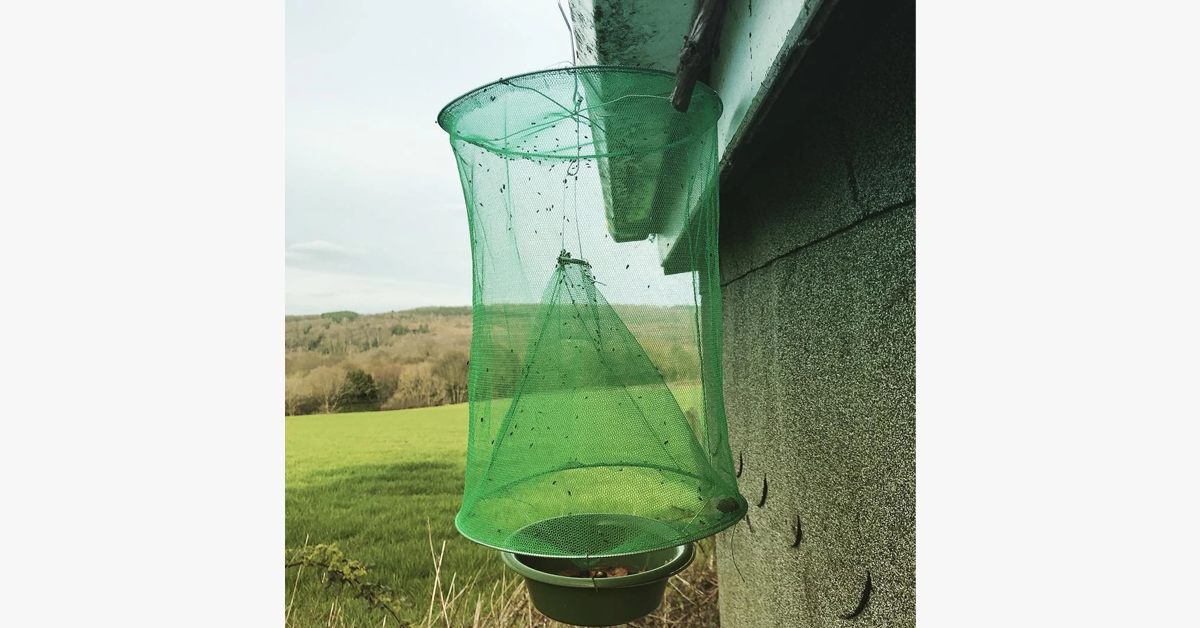 Portable Mosquito Trap