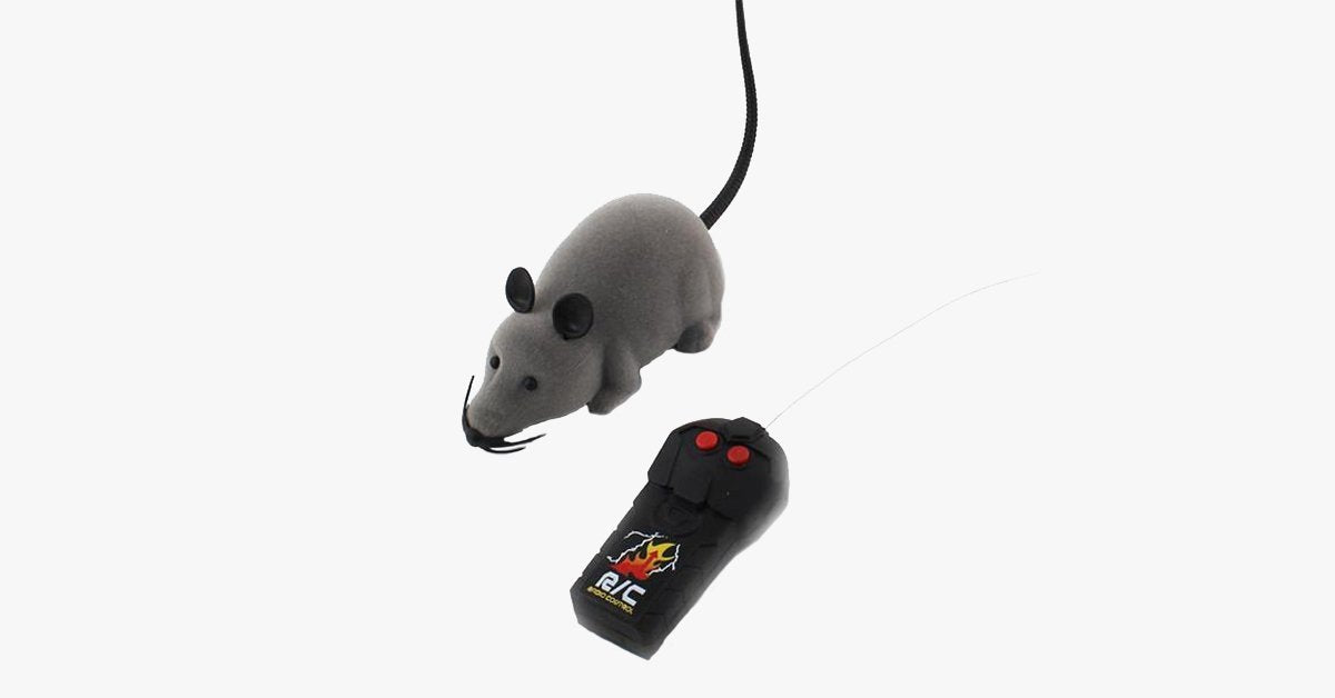 Electronic RC Rat Mouse Toy for Pet Cat