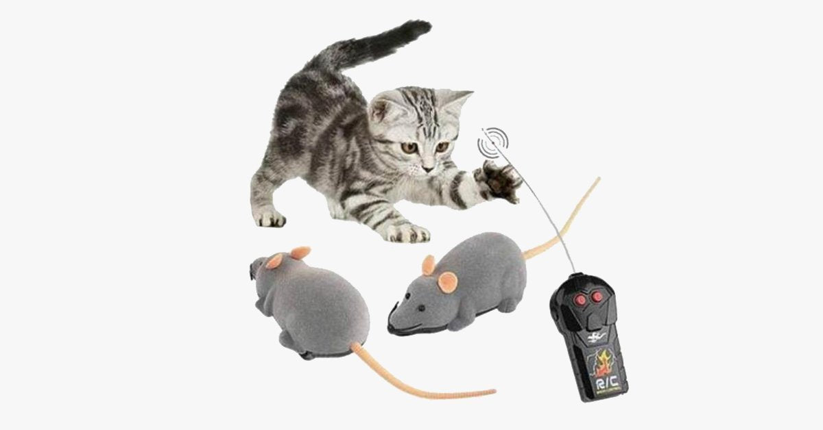 Electronic RC Rat Mouse Toy for Pet Cat