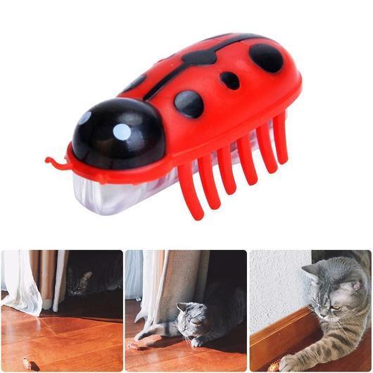 Amazing Robot Bug Toy For Cats