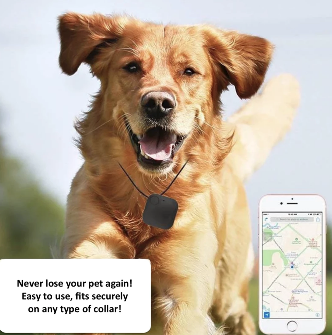 Pet Tracker with GPS